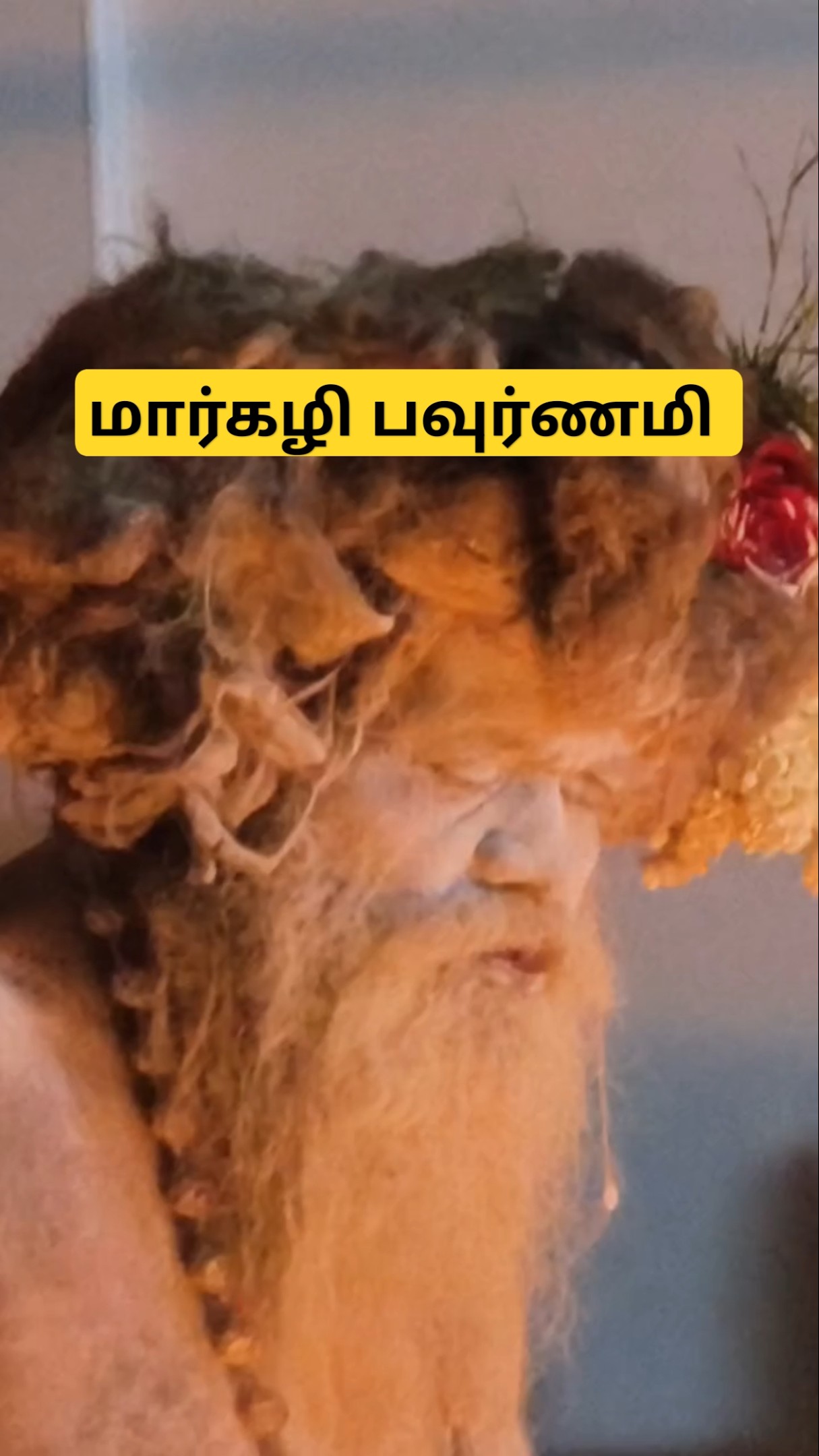 மகானந்த சித்தர் l மகாதேவமலை l யாக பூஜை